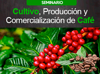 Cultivo, Producción y Comercialización de Café