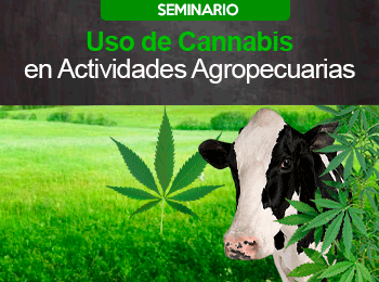 Uso de Cannabis en Actividades Agropecuarias